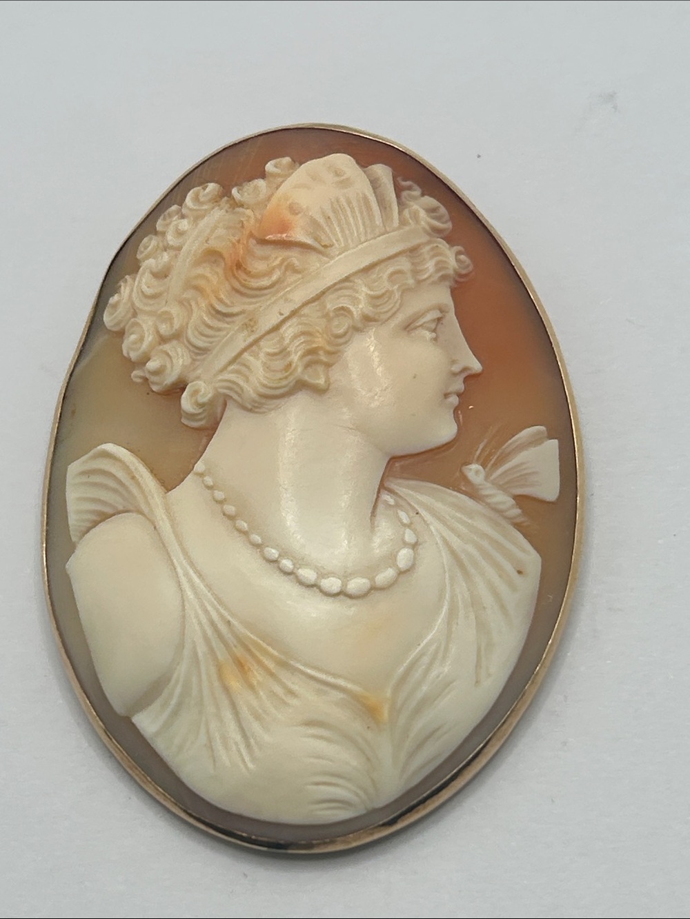 Antique Psyche Cameo Portrait Brooch Pendant Combo - Cream and Brown